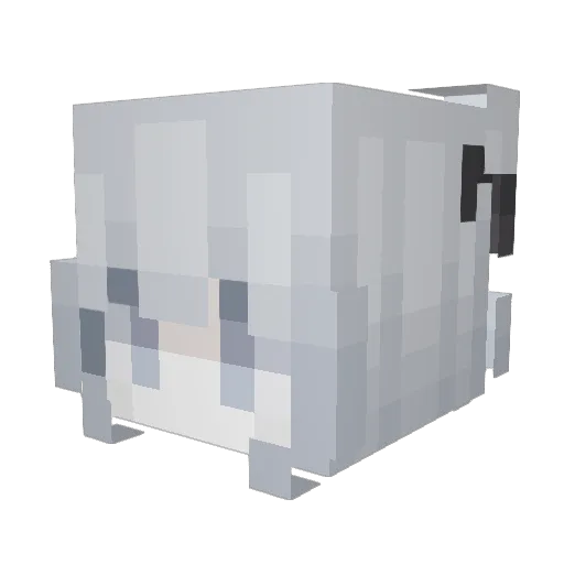 Boovei Minecraft avatar head, 3D render
