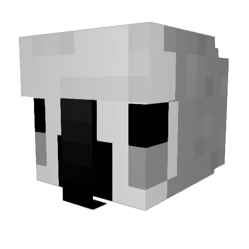 Booway Minecraft avatar head, 3D render