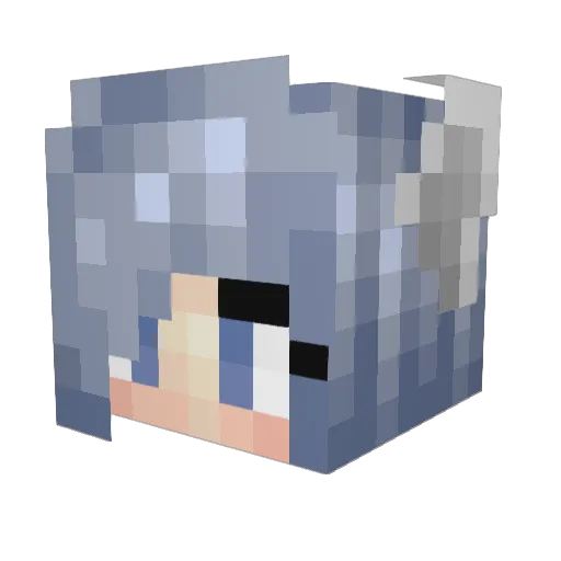 Bop2k Minecraft avatar head, 3D render