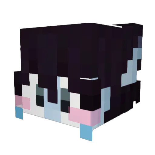 Bop9444 Minecraft avatar head, 3D render