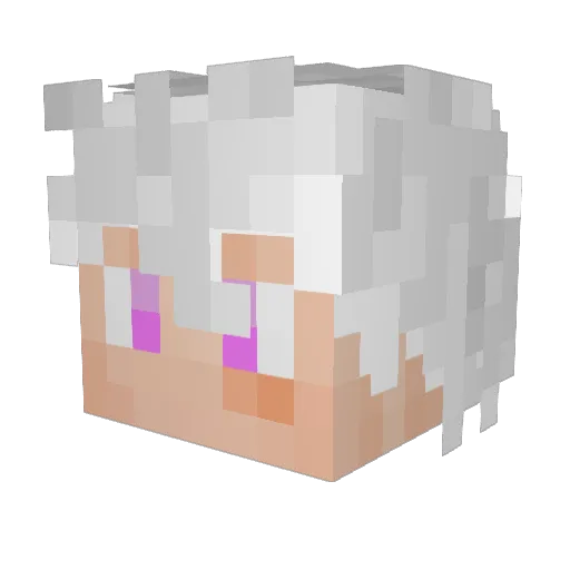 Bop_Memeo262 Minecraft avatar head, 3D render