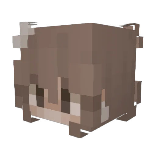 Bopblock Minecraft avatar head, 3D render