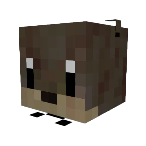 Bophington Minecraft avatar head, 3D render