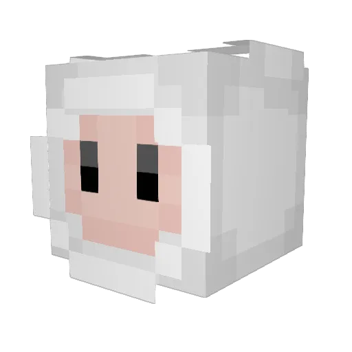 Boppeh Minecraft avatar head, 3D render