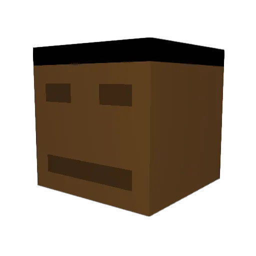 BoppingKids Minecraft avatar head, 3D render