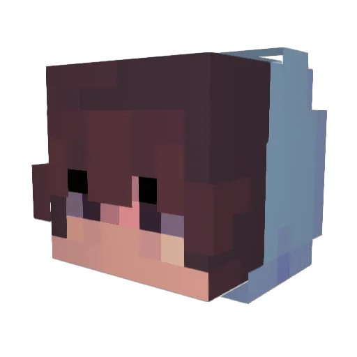 Boptivity Minecraft avatar head, 3D render