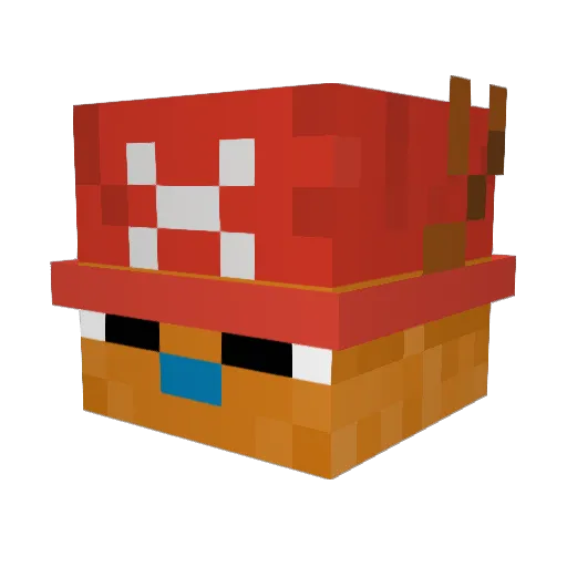 Bor1ngP3rson Minecraft avatar head, 3D render