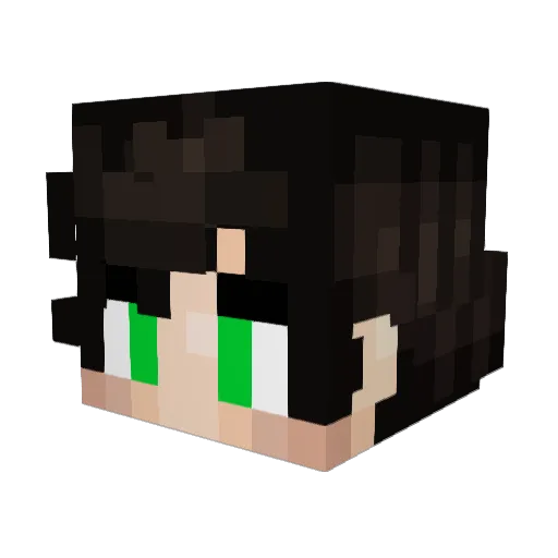 BorGar_BorGata Minecraft avatar head, 3D render