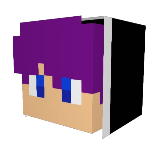 BoraC1905 Minecraft avatar head, 3D render