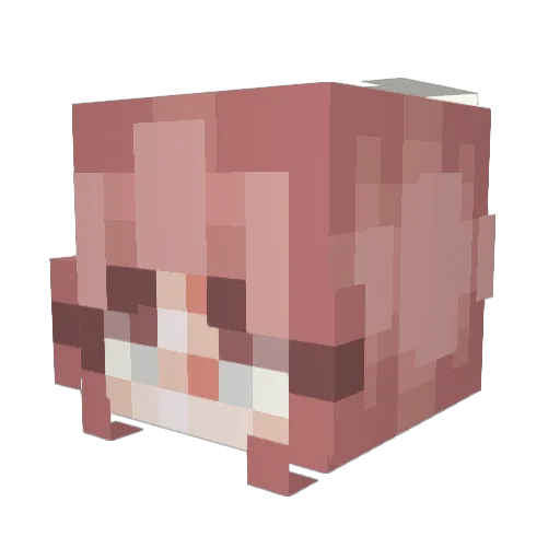 BoraSaekk Minecraft avatar head, 3D render