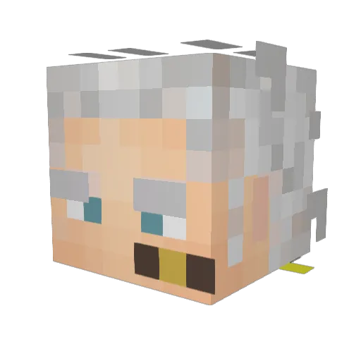 Boraat Minecraft avatar head, 3D render