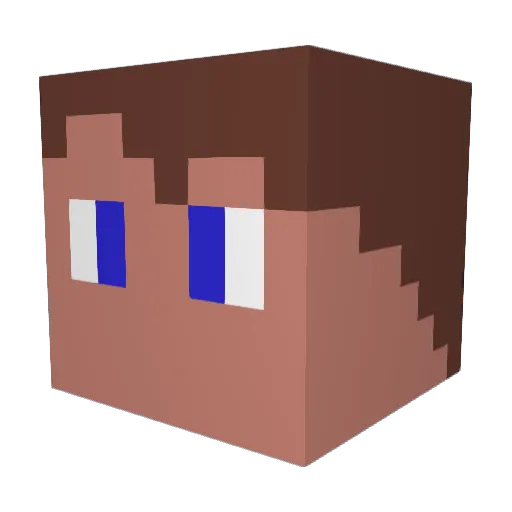 BoracicRoom9363 Minecraft avatar head, 3D render
