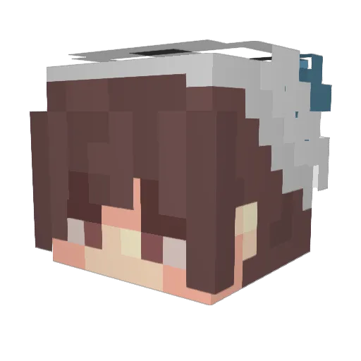 Boracobaan Minecraft avatar head, 3D render
