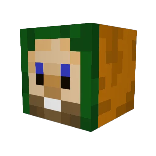 Borakk01 Minecraft avatar head, 3D render