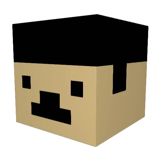 Borappepe Minecraft avatar head, 3D render
