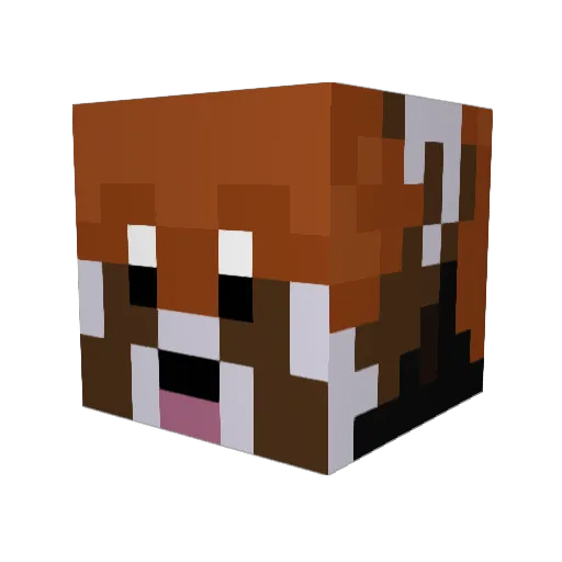 BorbasMC Minecraft avatar head, 3D render