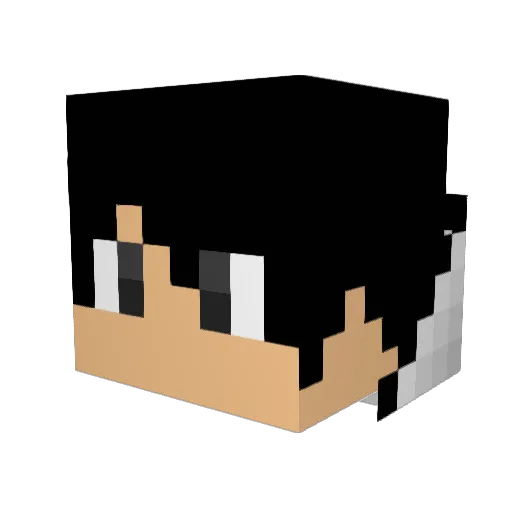 Borborygmus20 Minecraft avatar head, 3D render