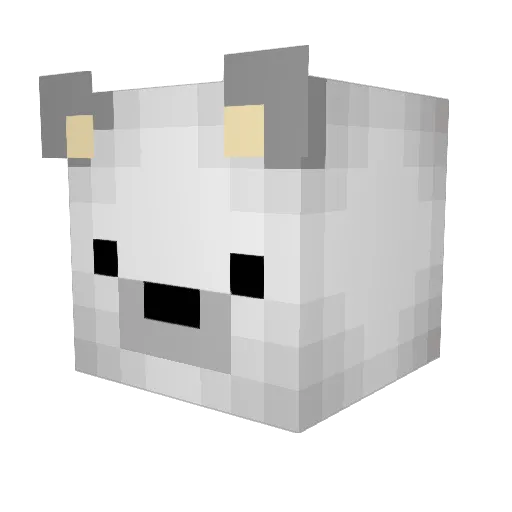 Borcan3l Minecraft avatar head, 3D render