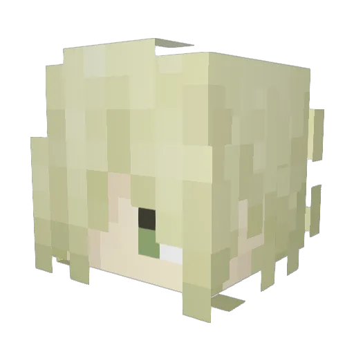 BordanGaming Minecraft avatar head, 3D render