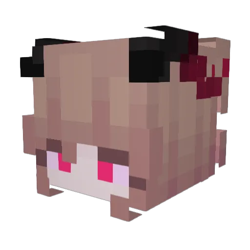 Border_asz Minecraft avatar head, 3D render
