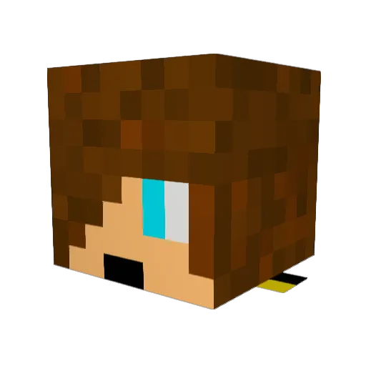BoreS01 Minecraft avatar head, 3D render