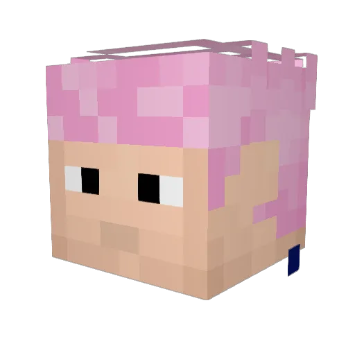 Bored2134 Minecraft avatar head, 3D render