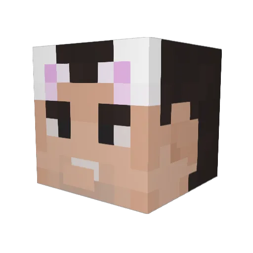 BoredDeathherd Minecraft avatar head, 3D render
