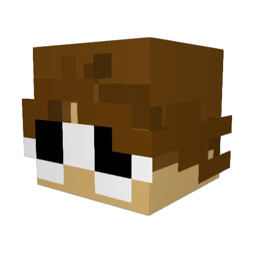 BoredNumber12 Minecraft avatar head, 3D render