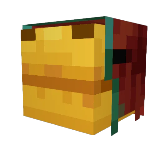 BoredOpossum546 Minecraft avatar head, 3D render
