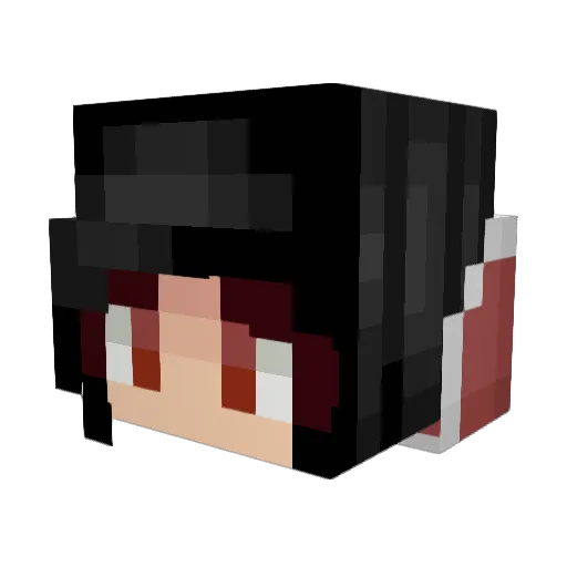 Bored_Aeo Minecraft avatar head, 3D render