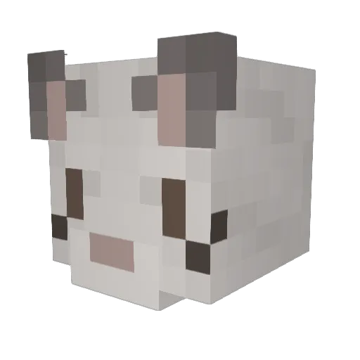 Borefeline Minecraft avatar head, 3D render