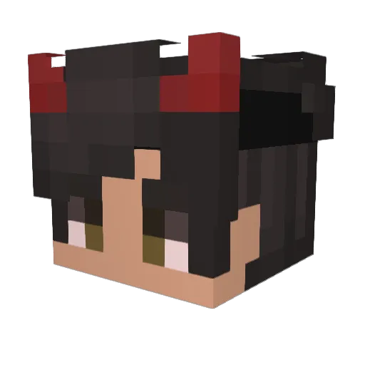 Borex_ Minecraft avatar head, 3D render