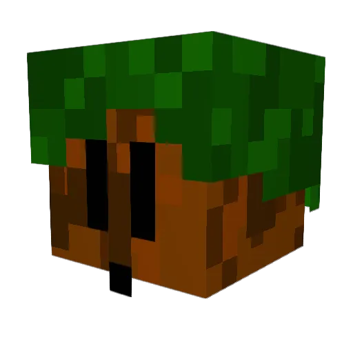 Borg1of8 Minecraft avatar head, 3D render