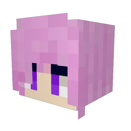 BorgarBun Minecraft avatar head, 3D render