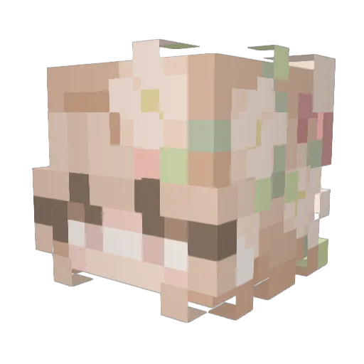 BorgerBB Minecraft avatar head, 3D render
