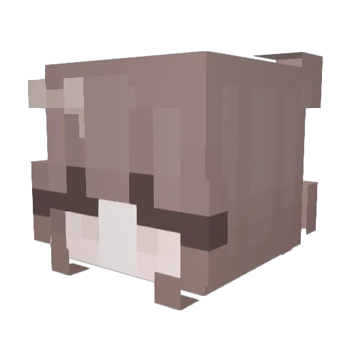 Bori_116 Minecraft avatar head, 3D render