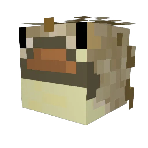BoricThunder925 Minecraft avatar head, 3D render