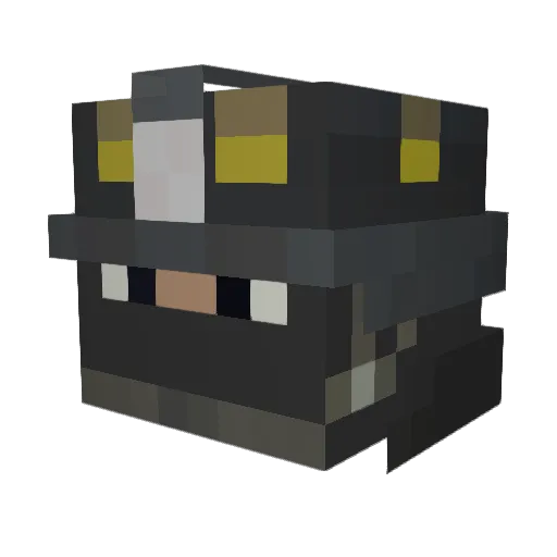 BoricuaSharp Minecraft avatar head, 3D render