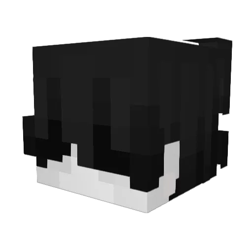 Borifyz Minecraft avatar head, 3D render