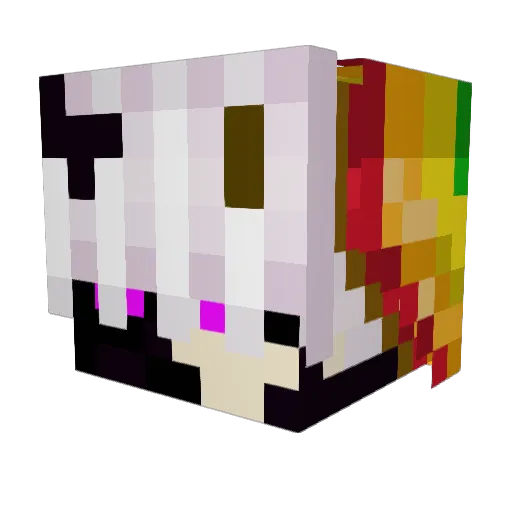 BoringAcorn6862 Minecraft avatar head, 3D render