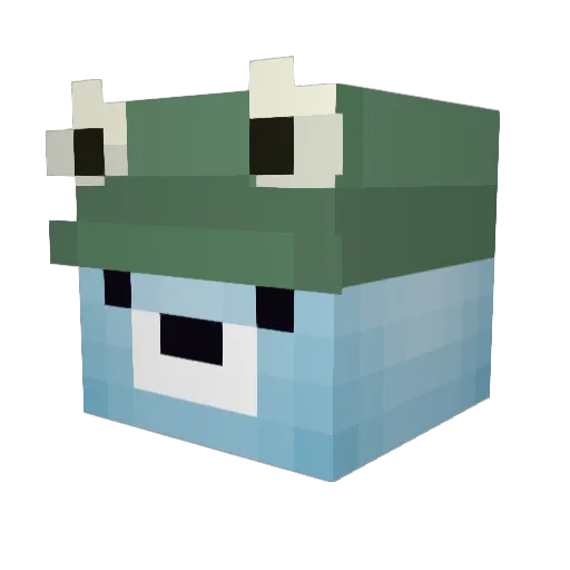 Boring_Salad Minecraft avatar head, 3D render
