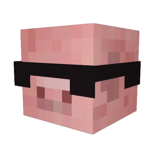 BoringgPigg Minecraft avatar head, 3D render
