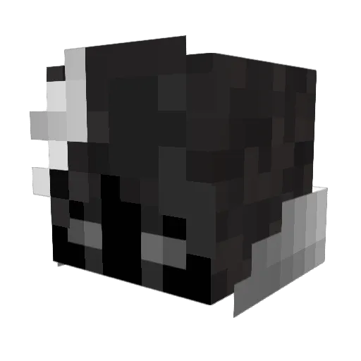 Borjnn Minecraft avatar head, 3D render