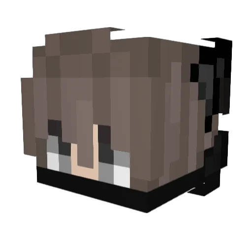 Bork_Gamer Minecraft avatar head, 3D render