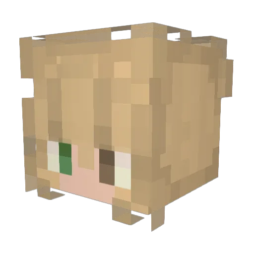 Borkenstick436 Minecraft avatar head, 3D render