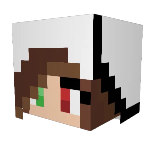 Borker111 Minecraft avatar head, 3D render