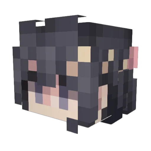 Borkichann Minecraft avatar head, 3D render