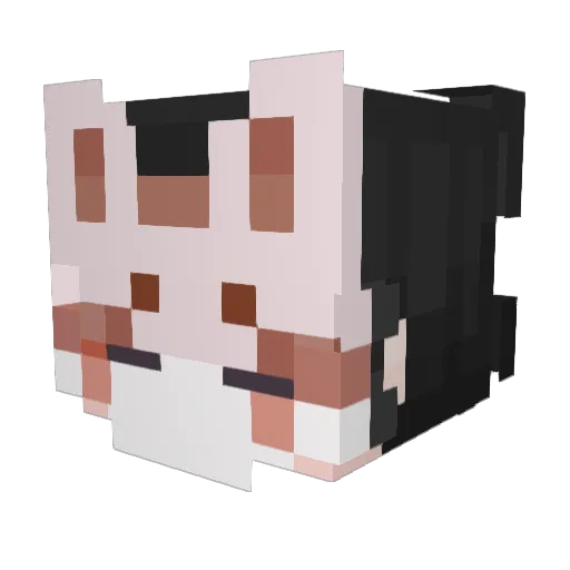 Borktice Minecraft avatar head, 3D render