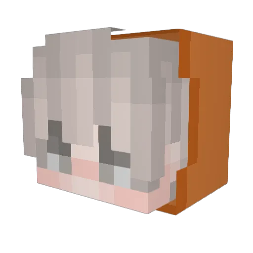 BorkyBepis Minecraft avatar head, 3D render