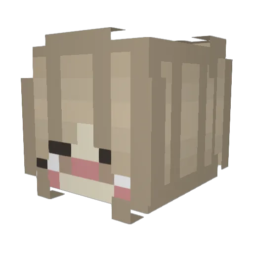 BornForYou19 Minecraft avatar head, 3D render